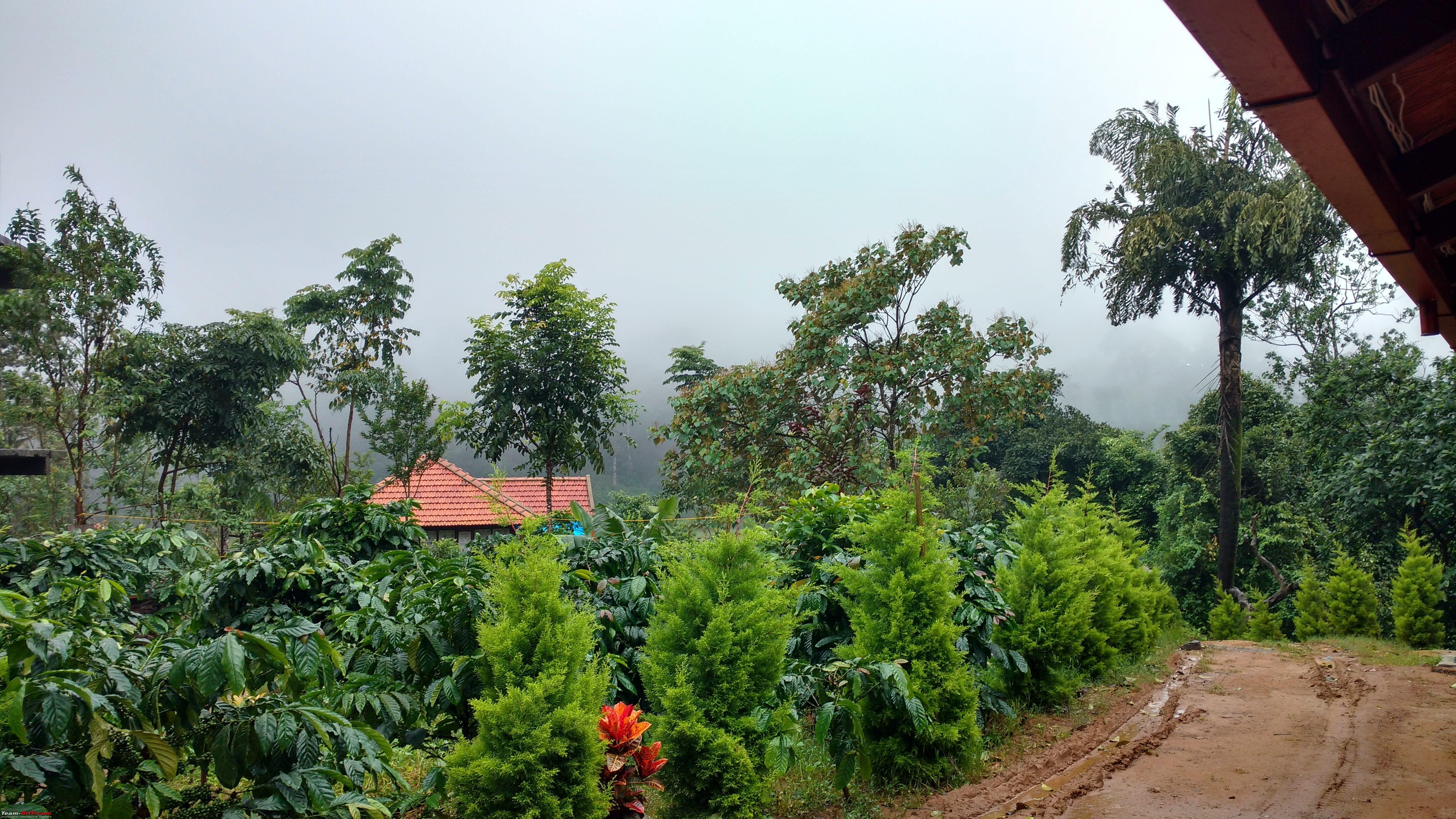 Coorg